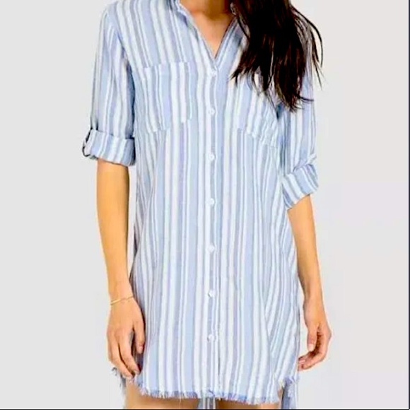 Anthropologie Cloth & Stone Blue Striped Tunic button Down Shirt - Picture 3 of 6